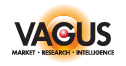 vagusmri-logo